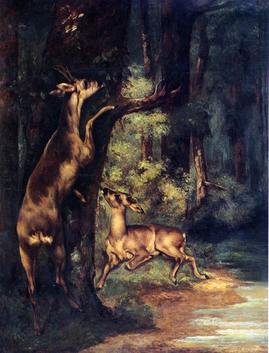  Gustave Courbet Male and Female Deer in the Woods - Canvas Print