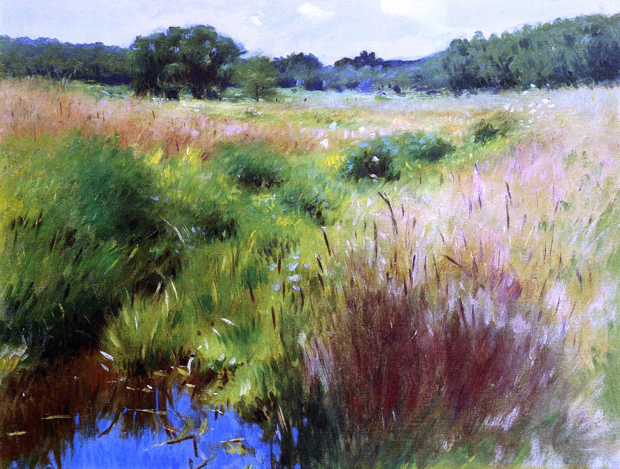  Dennis Miller Bunker Marshland, Medfield - Canvas Print