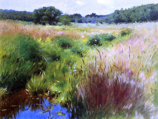  Dennis Miller Bunker Marshland, Medfield - Canvas Print