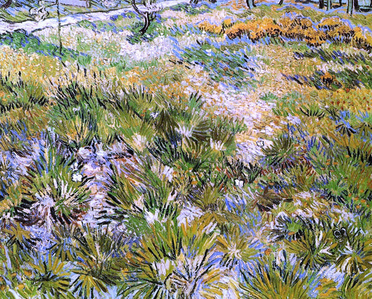  Vincent Van Gogh Meadow in the Garden of Saint-Paul Hospital - Canvas Print
