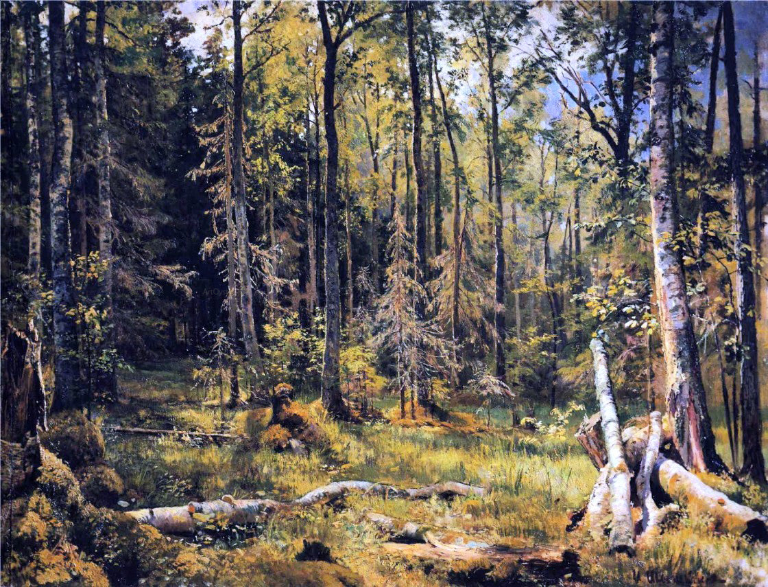  Ivan Ivanovich Shishkin Mixed Forest - Canvas Print