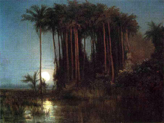  Louis Remy Mignot Moonlight over a Marsh in Ecuador - Canvas Print