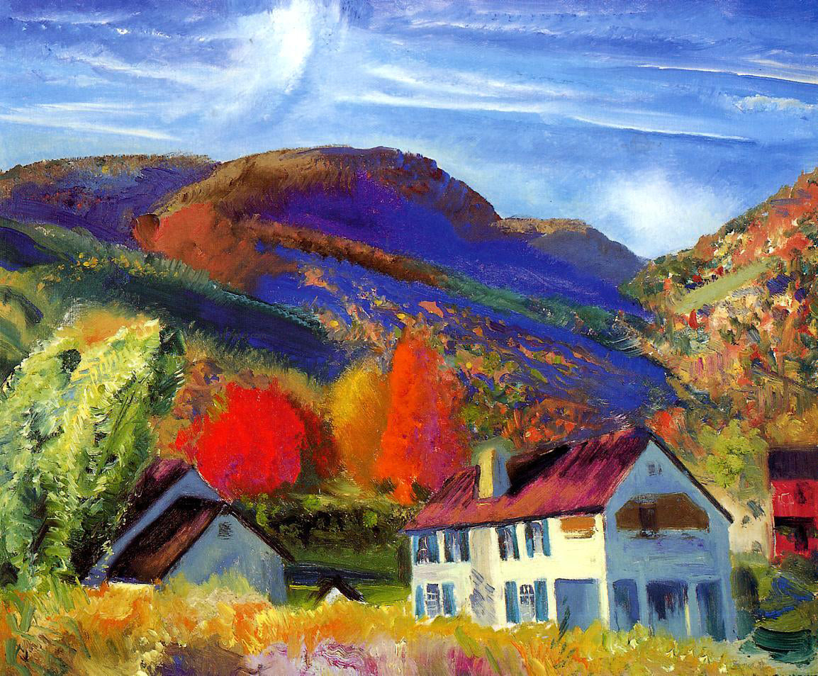  George Wesley Bellows My House, Woodstock - Canvas Print