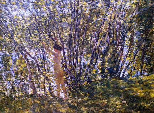  Frederick Childe Hassam Nude in Sunlilt Wood - Canvas Print