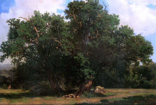  Johannes Bosboom Oak Trees - Canvas Print