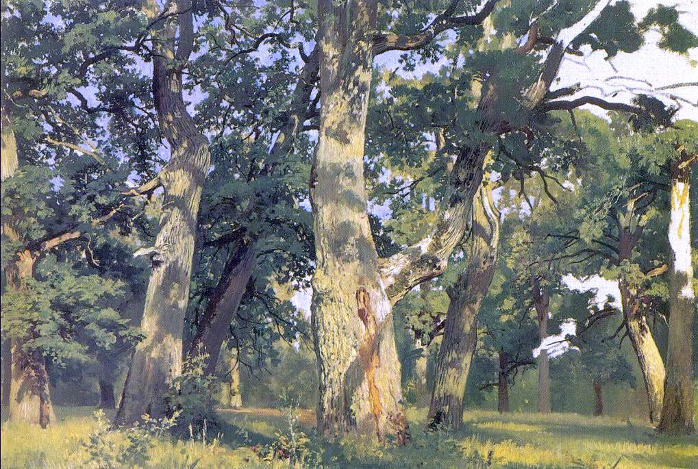  Ivan Ivanovich Shishkin Oaks, Evening (Study for Picture Oak-Wood) - Canvas Print