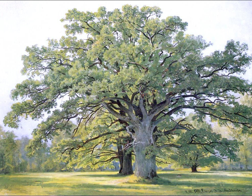  Ivan Ivanovich Shishkin Oaks in the Old Petergof - Canvas Print