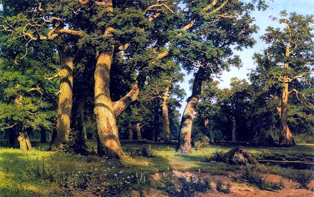  Ivan Ivanovich Shishkin Oak-wood - Canvas Print