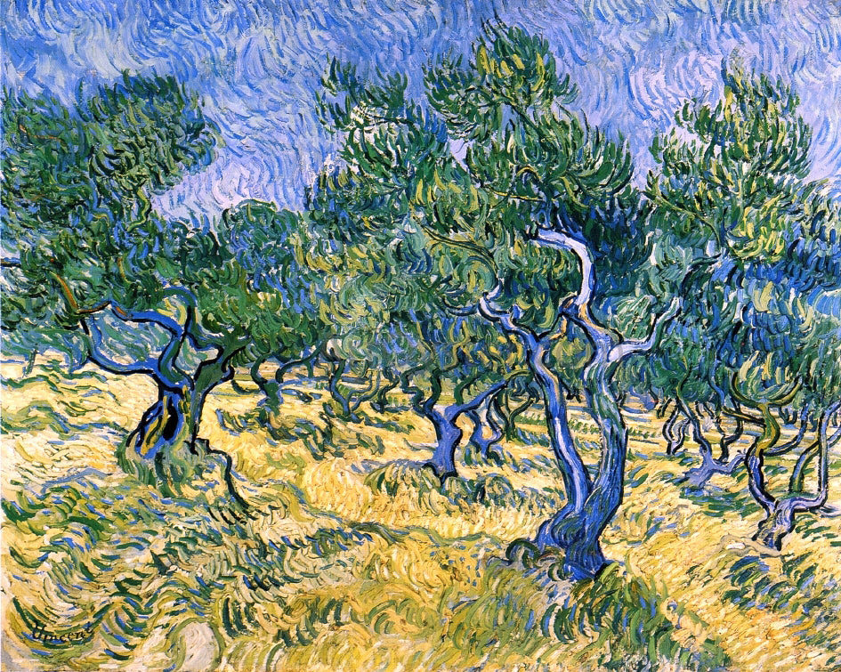  Vincent Van Gogh Olive Grove - Canvas Print