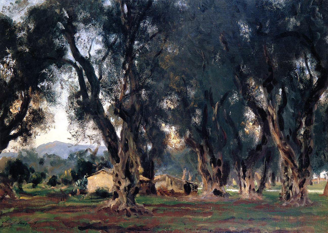  John Singer Sargent Olive Trees at Corfu - Canvas Print