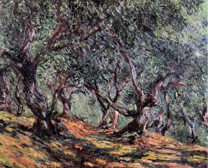  Claude Oscar Monet Olive Trees in Bordighera - Canvas Print