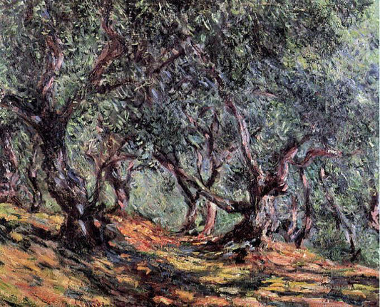  Claude Oscar Monet Olive Trees in Bordighera - Canvas Print