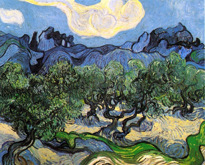  Vincent Van Gogh Olive Trees with the Alpilles in the Background - Canvas Print