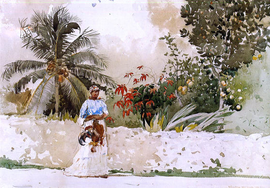  Winslow Homer On the Way to Market, Bahamas - Canvas Print