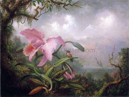  Martin Johnson Heade Orchid and Hummingbird - Canvas Print