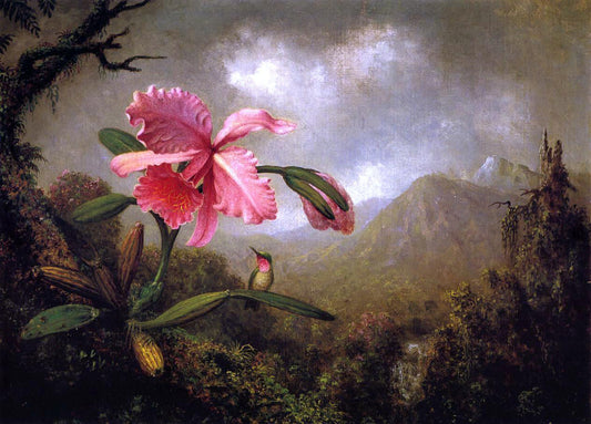  Martin Johnson Heade Orchid and Hummingbird near a Mountain Waterfall - Canvas Print