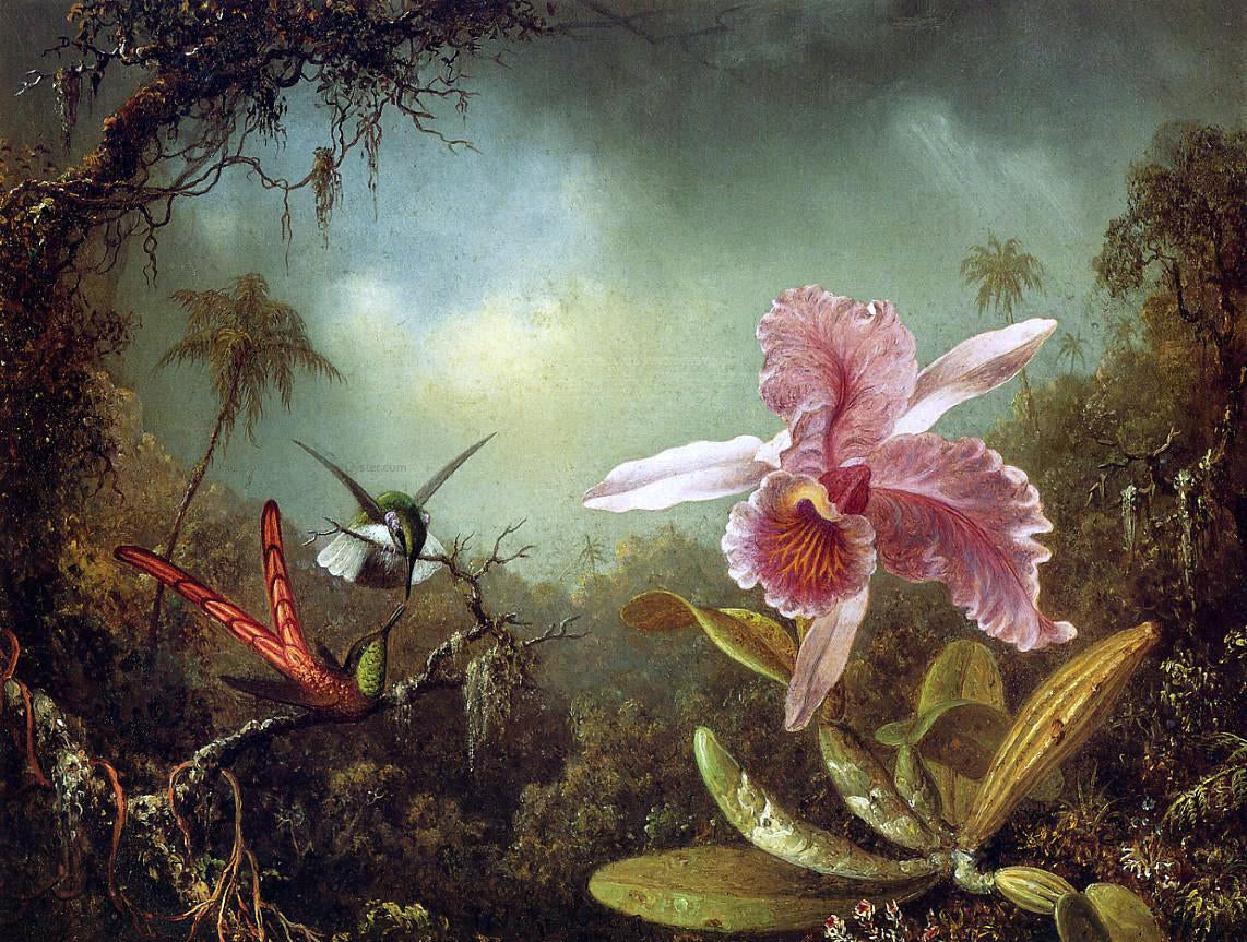  Martin Johnson Heade Orchid with Two Hummingbirds - Canvas Print