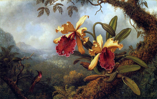  Martin Johnson Heade Orchids and Hummingbird - Canvas Print