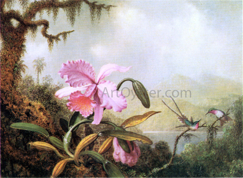  Martin Johnson Heade Orchids and Hummingbirds near a Mountain Lake - Canvas Print