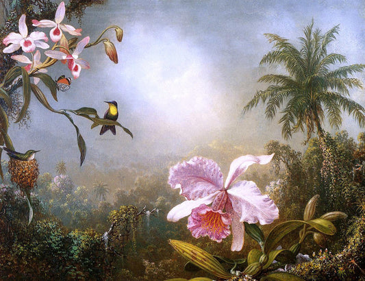  Martin Johnson Heade Orchids, Nesting Hummingbirds and a Butterfly - Canvas Print