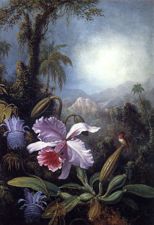  Martin Johnson Heade Orchids, Passion Flowers and Hummingbird - Canvas Print