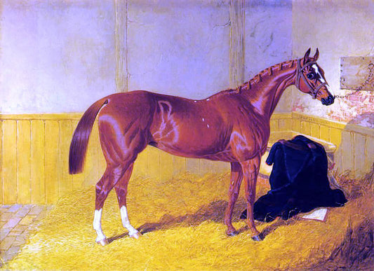  Sr. John Frederick Herring Our Nell, A Bay Racehorse in a Stable - Canvas Print