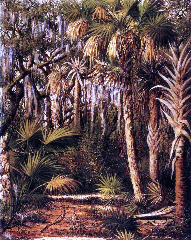  William Aiken Walker Palm Hammock with Epiphytes - Canvas Print