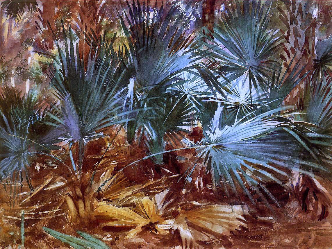  John Singer Sargent Palmettos - Canvas Print