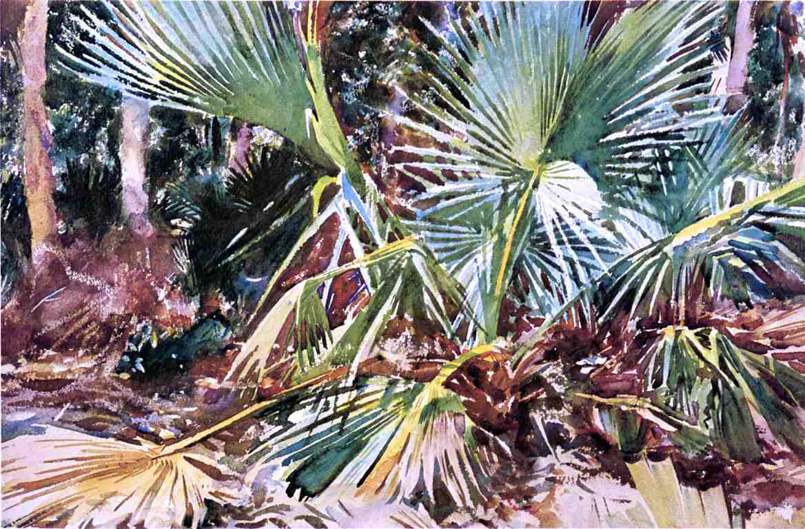  John Singer Sargent Palmettos, Florida - Canvas Print