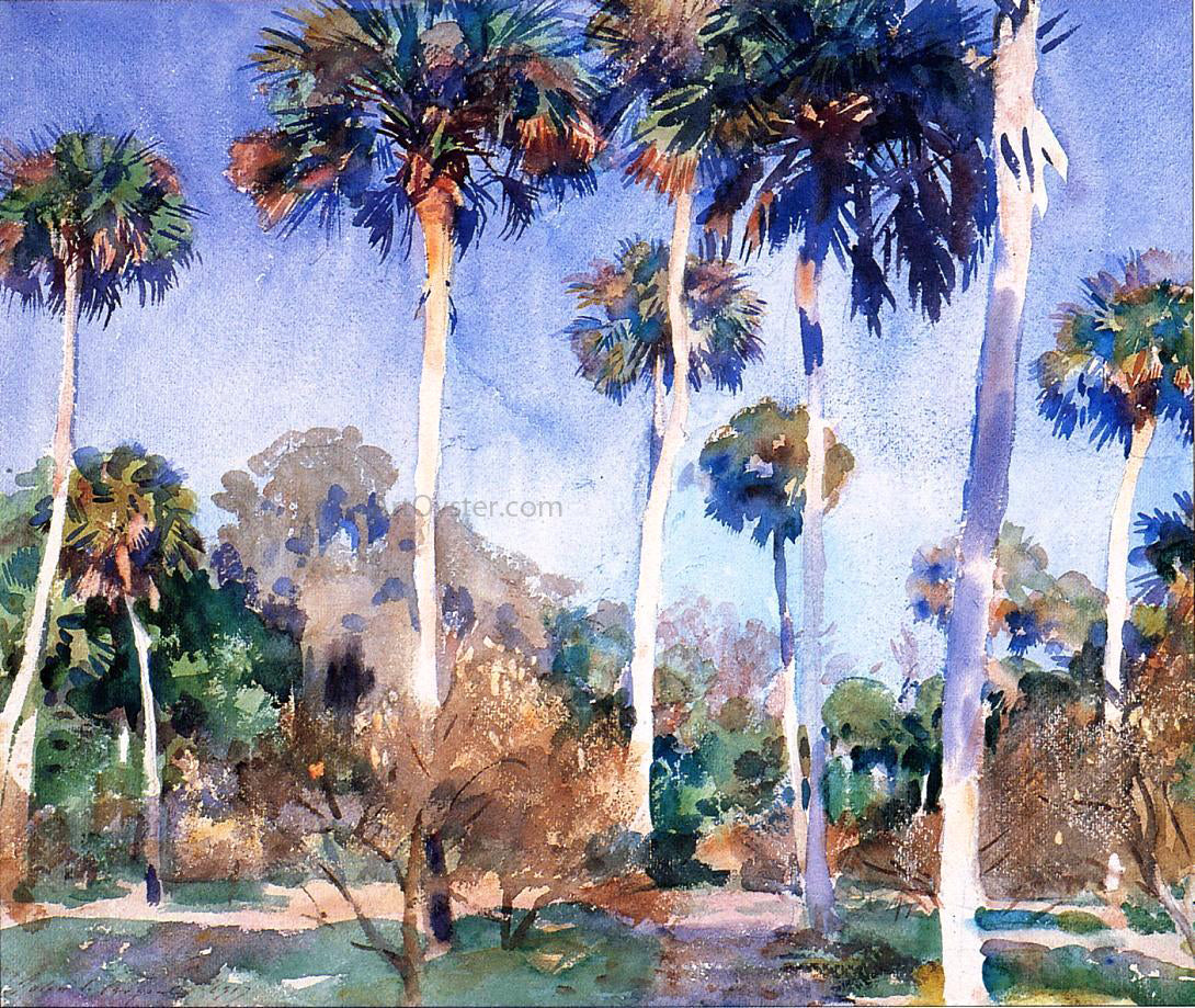  John Singer Sargent Palms - Canvas Print