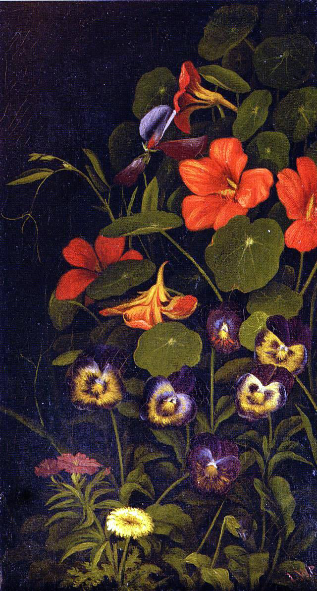  Levi Wells Prentice Pansies and Nasturtiums - Canvas Print