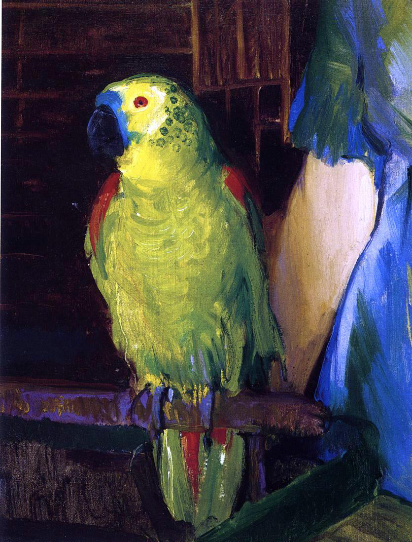  George Wesley Bellows A Parrot - Canvas Print