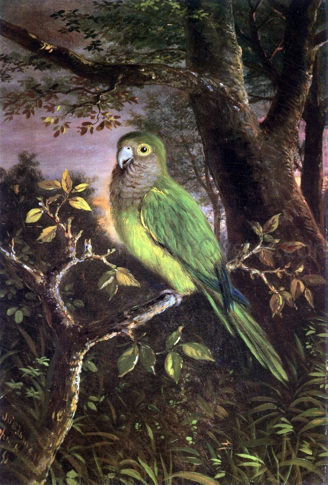  John OBrien Inman A Parrot on a Branch - Canvas Print