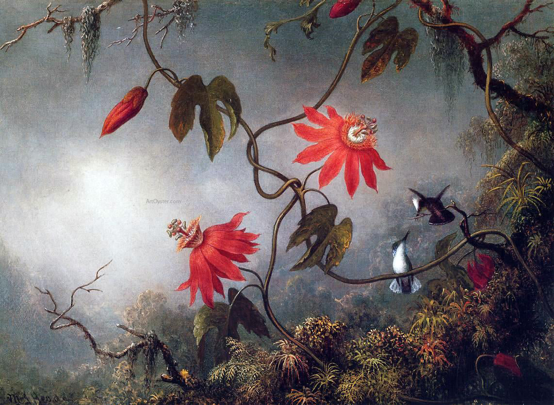  Martin Johnson Heade Passion Flowers and Hummingbirds - Canvas Print