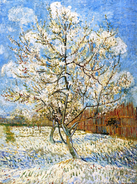  Vincent Van Gogh Peach Trees in Blossom - Canvas Print