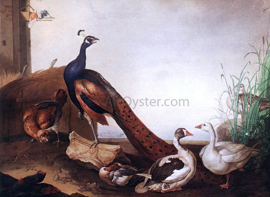  Jakab Bogdany Peacock with Geese and Hen - Canvas Print