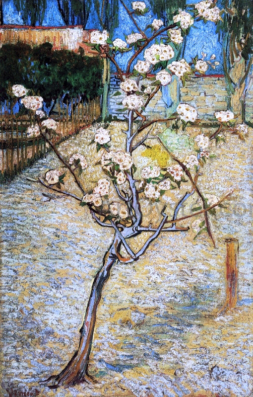  Vincent Van Gogh Pear Tree in Blossom - Canvas Print