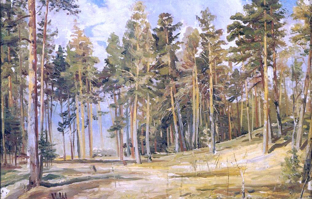  Ivan Ivanovich Shishkin Pines, Sunny day (etude) - Canvas Print