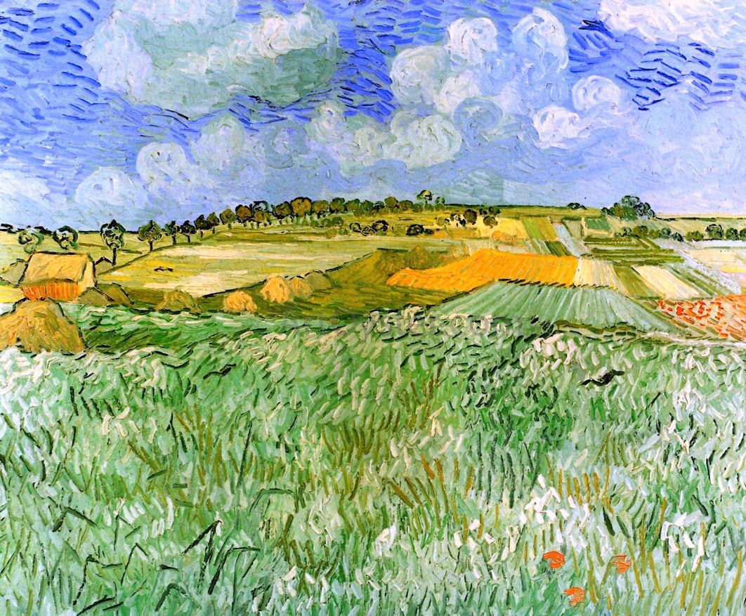  Vincent Van Gogh Plain near Auvers - Canvas Print