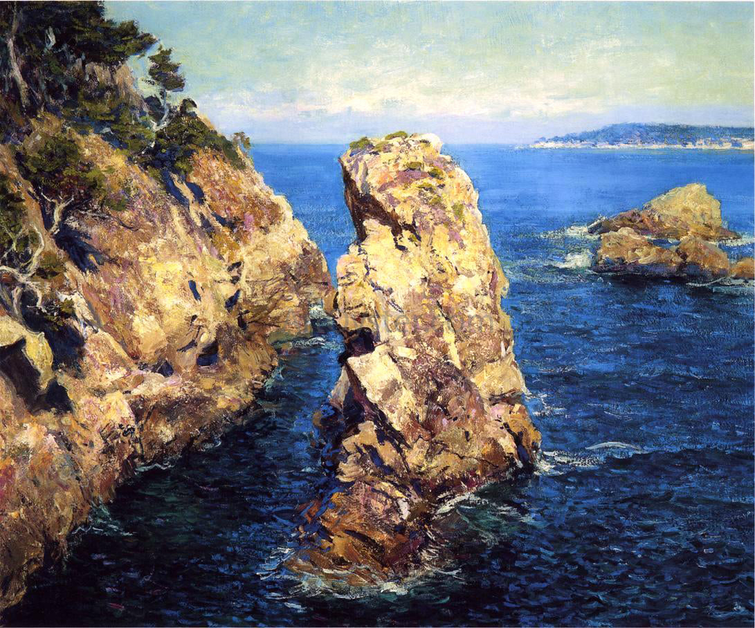  Guy Orlando Rose Point Lobos - Canvas Print