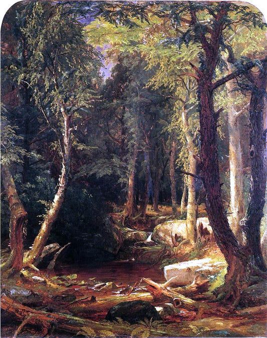  Jasper Francis Cropsey Pool in the Woods - Canvas Print