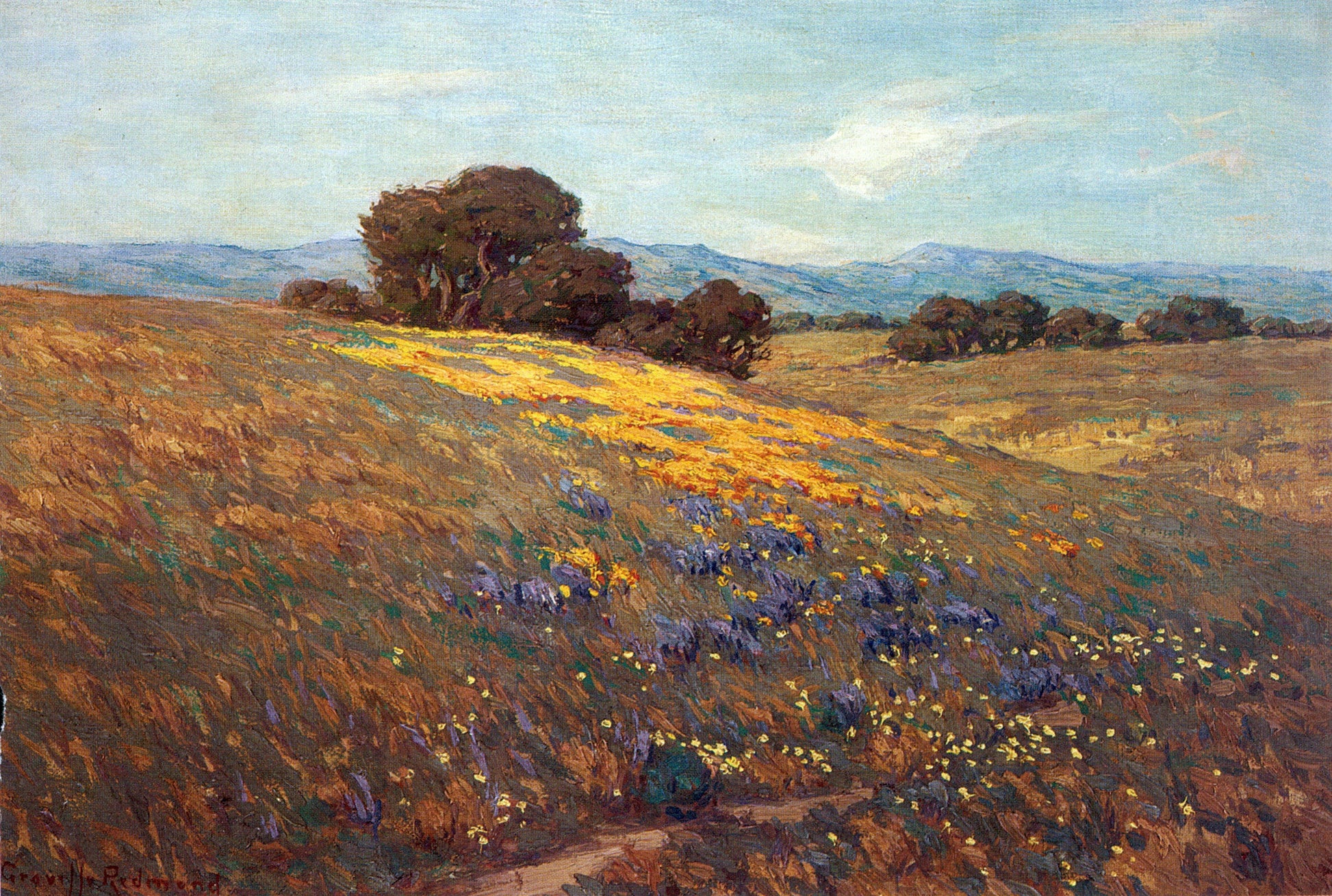  Granville Redmond Poppies and Lupines - Canvas Print