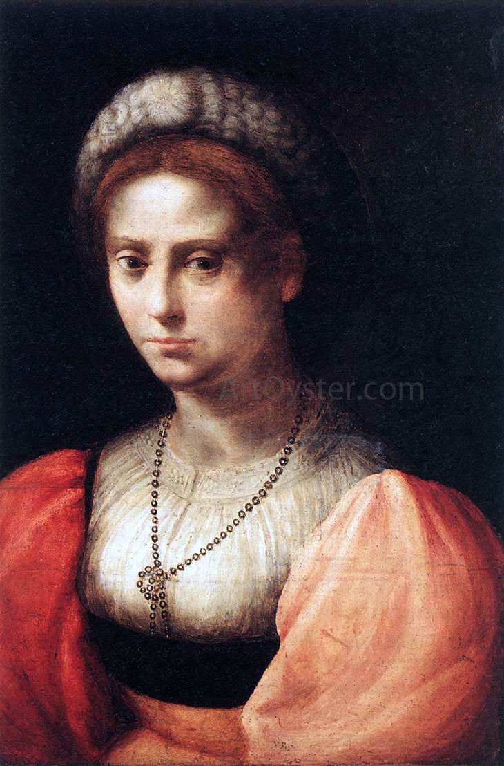  Domenico Puligo Portrait of a Lady - Canvas Print