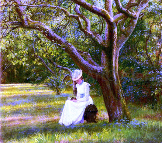  Micholine Christine Poulsen Reading In The Park - Canvas Print