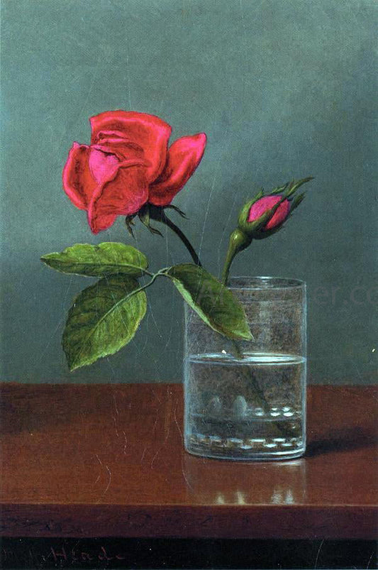  Martin Johnson Heade Red Rose and Bud in a Tumbler on a Shiny Table - Canvas Print