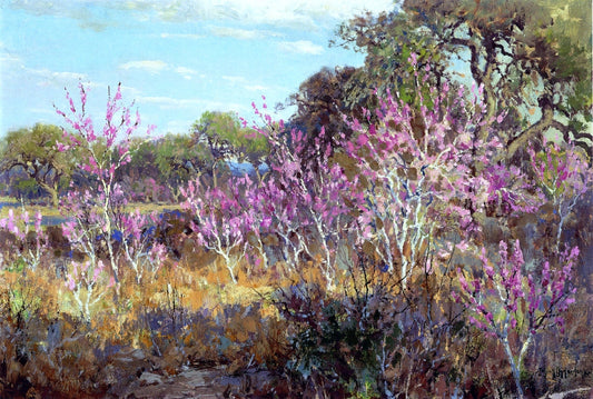  Julian Onderdonk Redbud Tree in Bloom at Leon Springs, San Antonio - Canvas Print