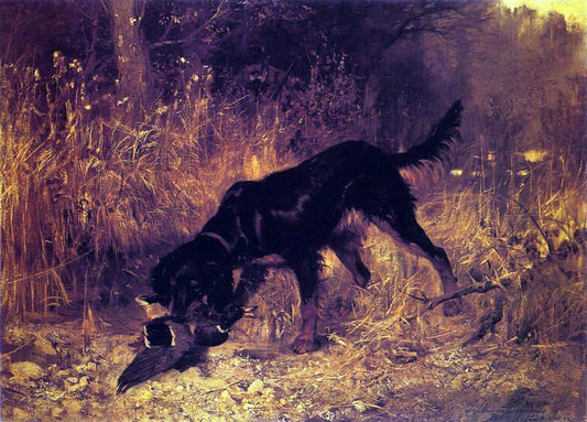  Josef Schmitzberger Retrieving a Mallard - Canvas Print