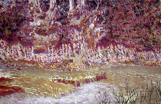  Antonio Munoz Degrain Rio de Piedra - Canvas Print
