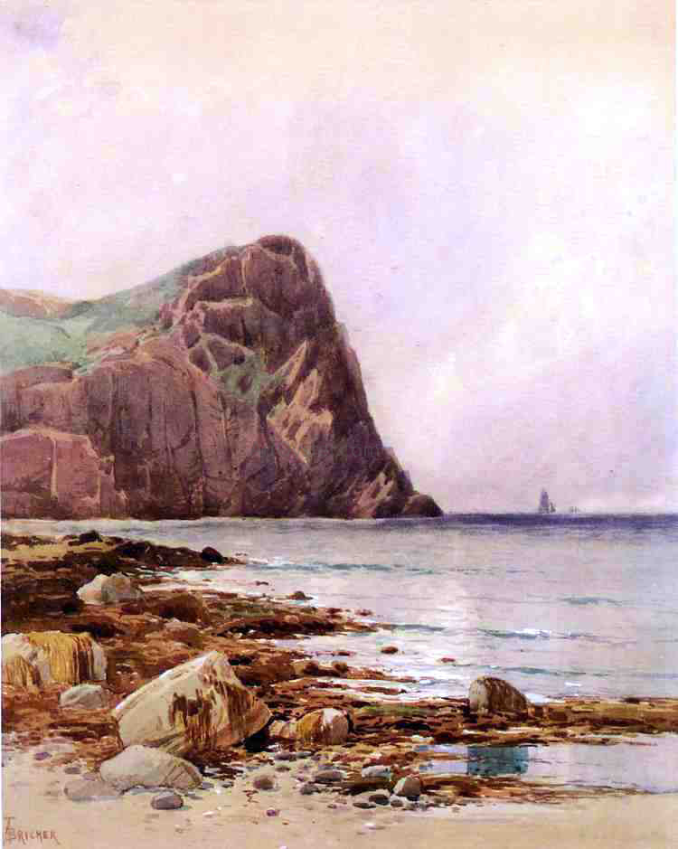  Alfred Thompson Bricher A Rocky Coast - Canvas Print