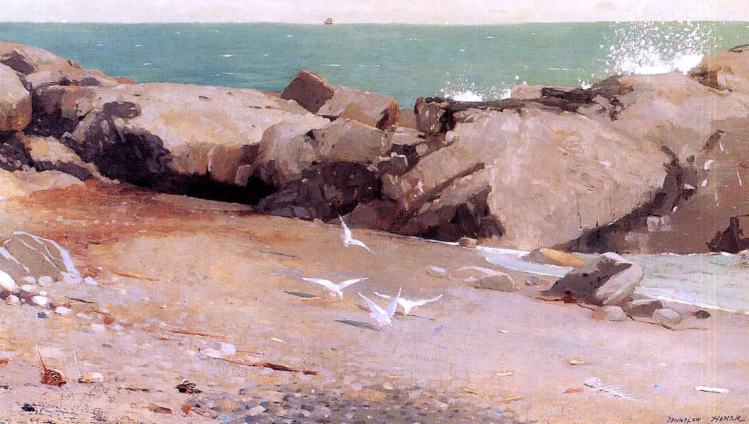  Winslow Homer Rocky Coast and Gulls - Canvas Print